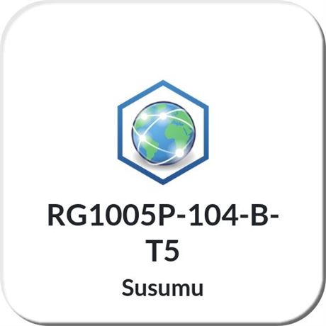 RG1005P-104-B-T5 Susumu