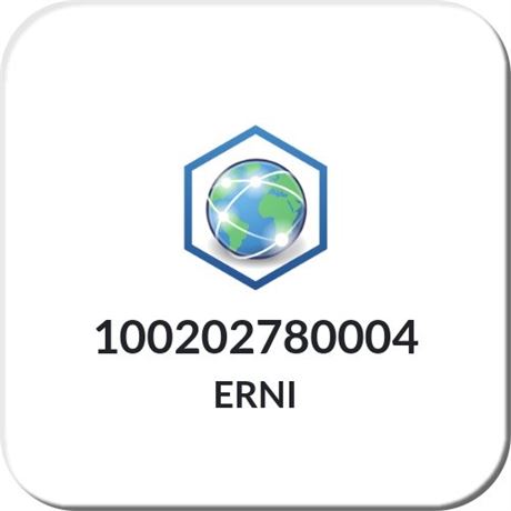 100202780004 ERNI