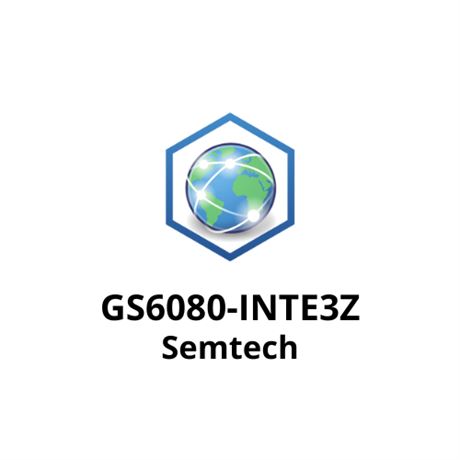 GS6080-INTE3Z Semtech